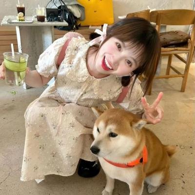 巴黎心枫叶情